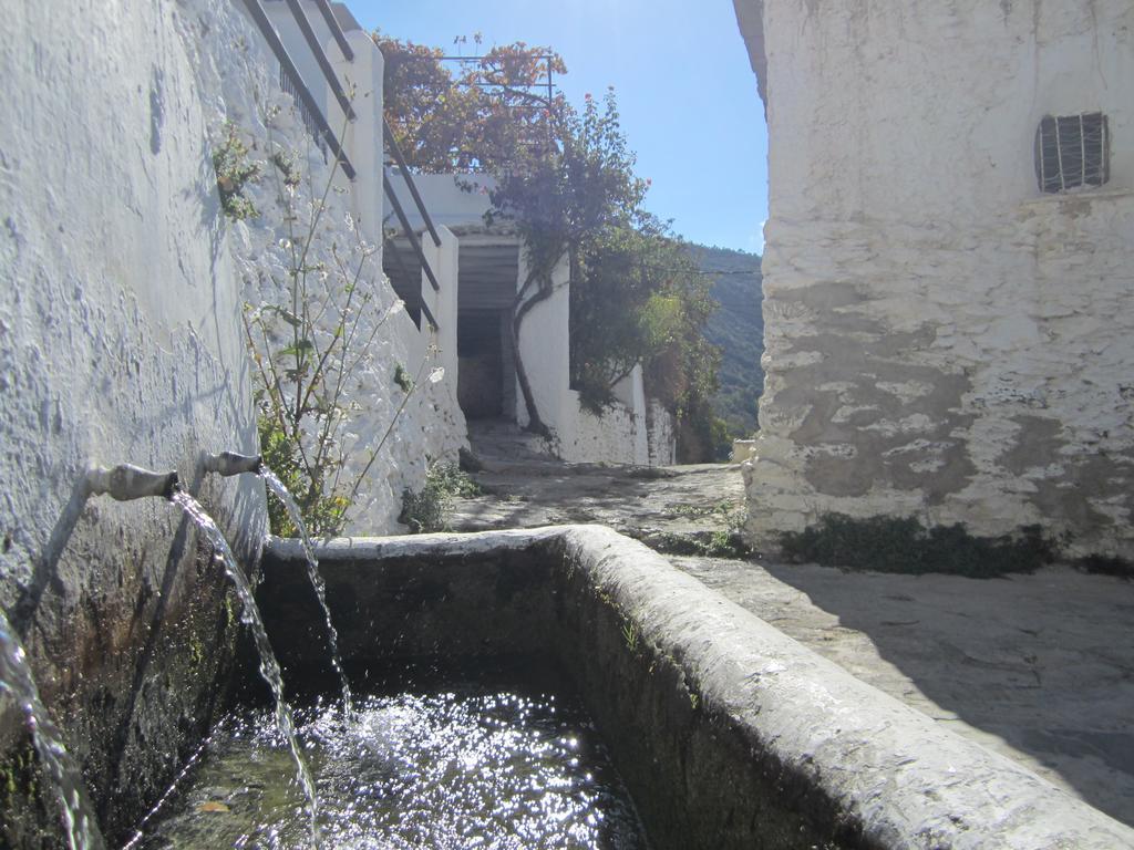 Hostal Rural Las Terrazas De La Alpujarra Bubion Exterior photo